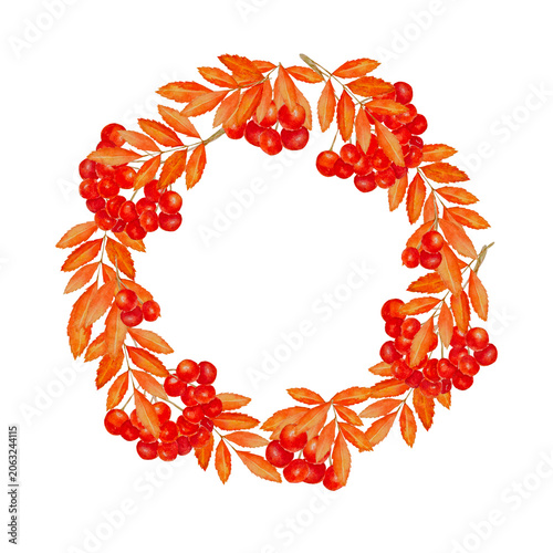 Watercolor autumn rowan berry wreath isolated.