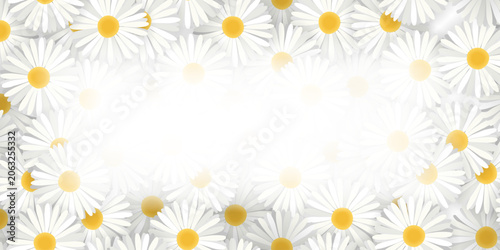 Flower frame with daisies on beige background.