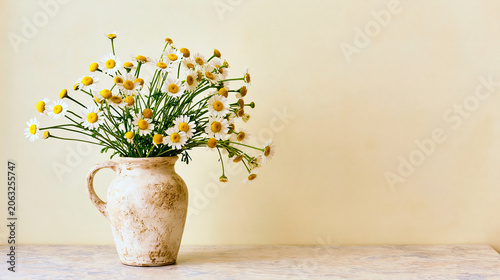 White vase with fresh white and yellow daisies on a neutral surface