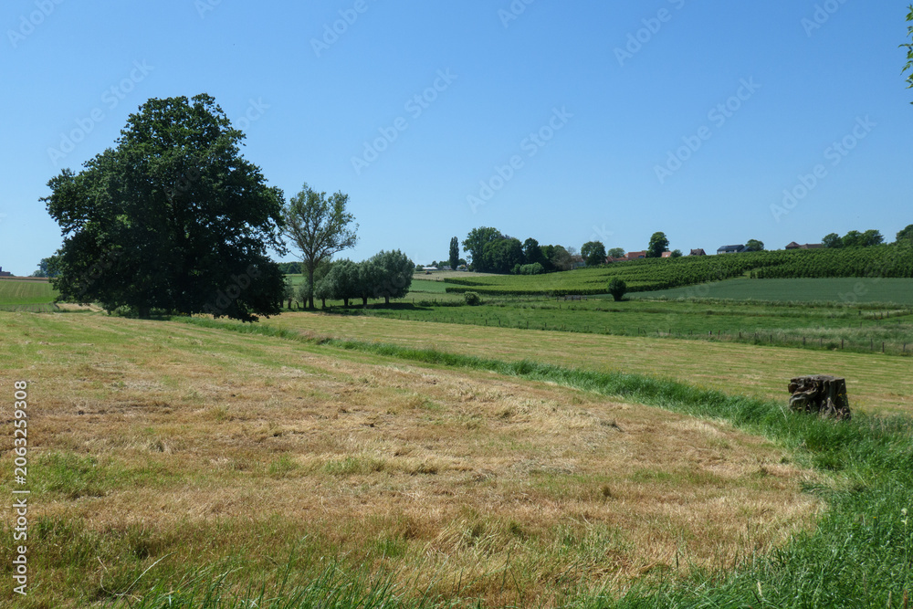 Fototapeta premium Wanderung in den Vlaamse Ardennen bei Oudenaarde in der Nähe von Gent, Ostflandern. Schöne Wege durch die wundervolle Landschaft. Ein Paradies für Wanderer.