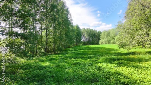 Summer Nature Landscape with Road and Passing Vehicles