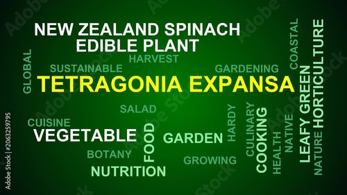 Tetragonia Expansa Word Cloud