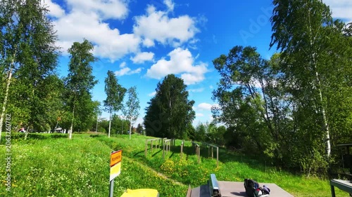 Scenic Country Road Through Green Fields and Trees