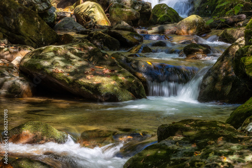 Beautiful running water found in Lamar Alexander State Park