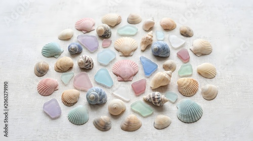 Colorful seashells and sea glass on white background