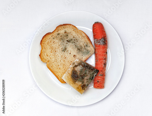 Food on a white plate showing moldy bread, a carrot, and a piece of unrecognizable food during the daytime in a kitchen