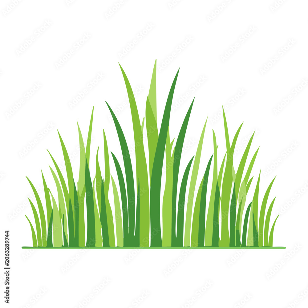 Fototapeta premium Green grass blades illustration on white background