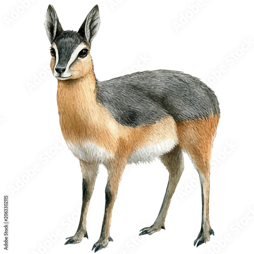 Fotografía Patagonian Mara, watercolor painting capturing graceful lines and soft blended shades, isolated on a white background