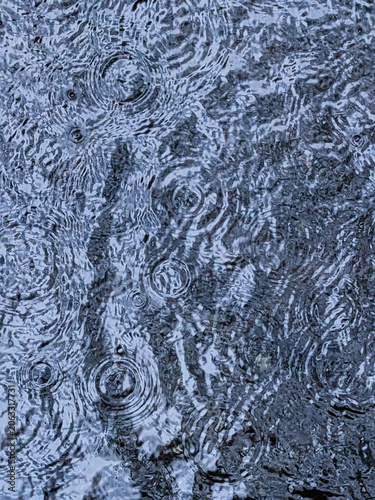 Intricate Circular Rain Ripples Forming a Dynamic Water Texture in Cool Blue Tones