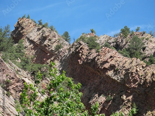 Photography Tilted sandstone strata and conifer trees in Eldorado Canyon Colorado