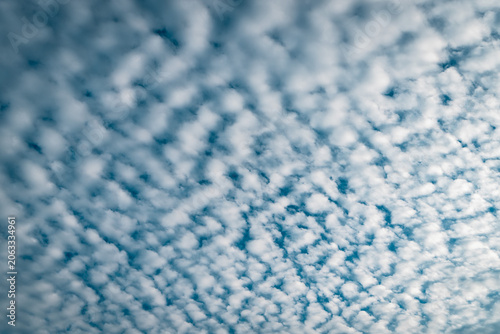 Canvastavla Textured Altocumulus Cloud Field Forming a Mackerel Sky Pattern