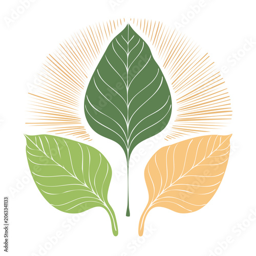 Flat design illustration of three colorful leaves