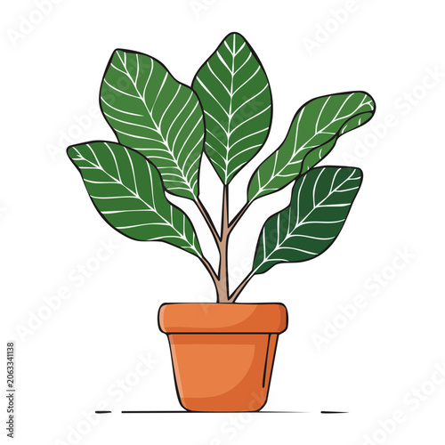 Flat design potted plant vector illustration