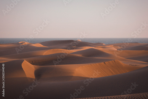 Fotografía Rolling desert sand dunes under evening light
