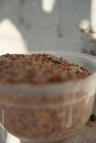 Bird feed in a container outdoors