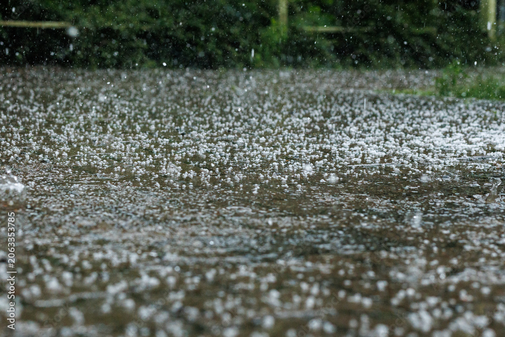 Fototapeta premium hailstones covering flooded ground during intense summer thunderstorm and heavy rain