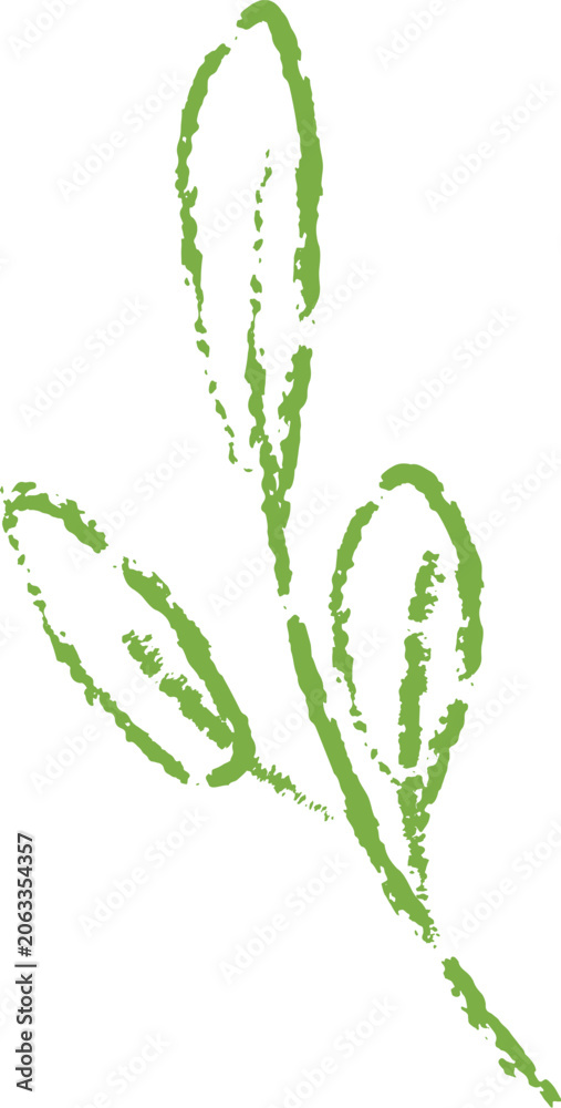 Obraz premium Leaf Sprig Sketch Crayon Style