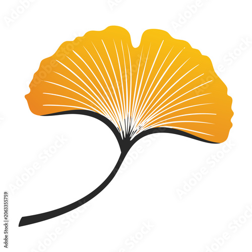 Orange Ginkgo Leaf Vector Icon