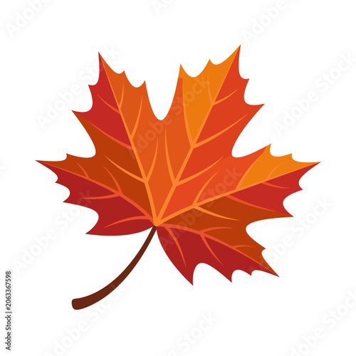 Maple leaf flat vector illustration, isolated on white