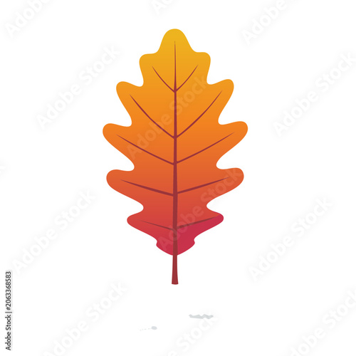 Colorful Oak Leaf Illustration