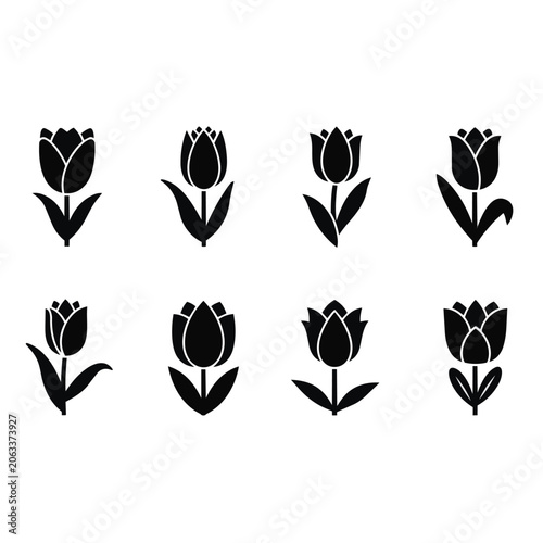 Tulip silhouettes on white background.