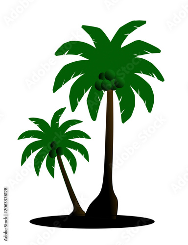 palm tree vector illustration