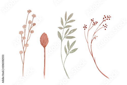 Wildflowers, leaves, dried stems and berries watercolor botanical set. Hand painted illustration isolated on white. Great for stationery, wedding designs, invitations, branding and boho projects