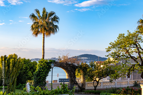 фотографія Green gardens with palm and citrus trees on seaside shore between Gaeta and Form