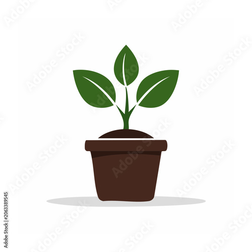 Minimalist potted plant 3D render