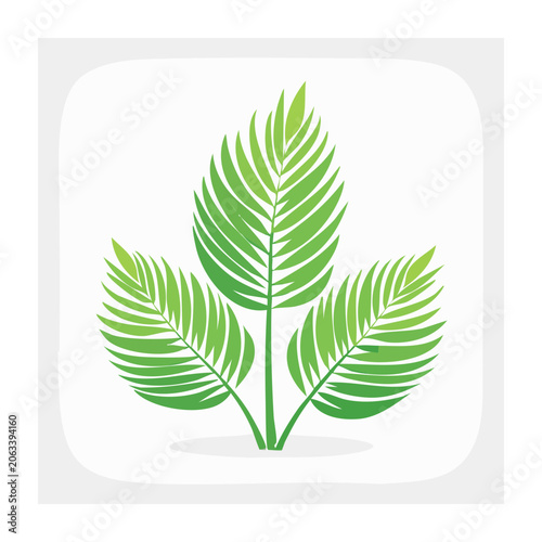 Flat design palm leaf vector icon