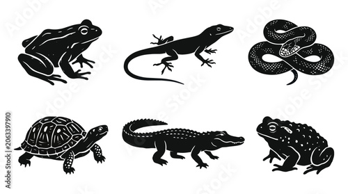 Canvas Print Reptile and Amphibian Silhouettes Collection: Frog, Snake, Lizard, Turtle, Allig