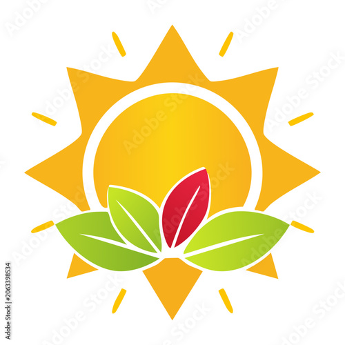 Sun and leaves icon in flat design