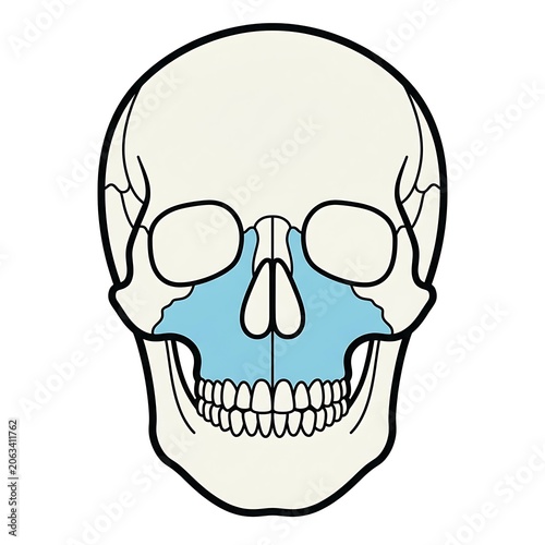 Cartoon skull with blue glowing eyes and teeth.