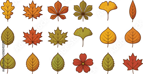 Photos Autumn fall leaf collection featuring maple oak ginkgo chestnut and seasonal fol