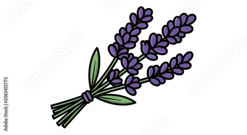 Purple grape cluster on green leafy vine.