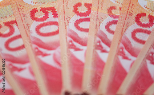 50 dollar bills Canadian close up macro in fan shape
