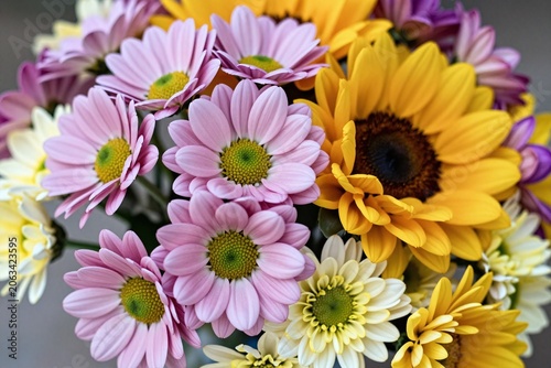 A bunch of purple and yellow flowers in a vase