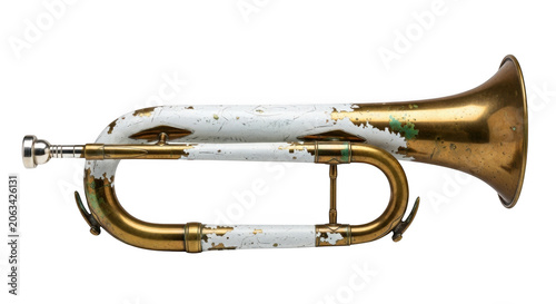 Brass trumpet instrument with polished finish