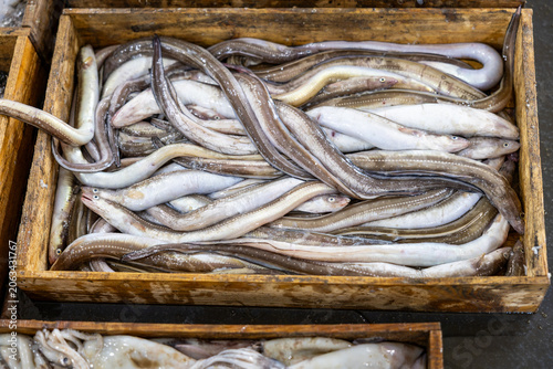 Εκτύπωση καμβά Fresh Fish Waiting for Sale at a Seafood Auction Market