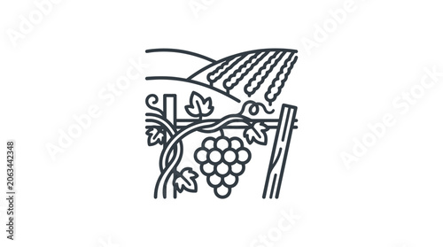 Close up of grapes with vineyard hills background.