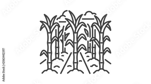 Dense sugar cane stalks in field line art.