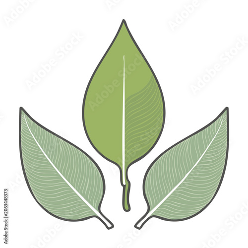 Flat design avocado with leaf and stem