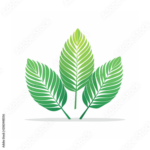 Monstera leaf flat design vector