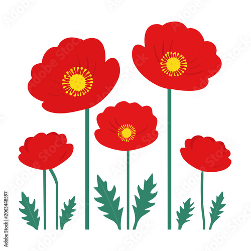 Red poppy flower bouquet vector illustration