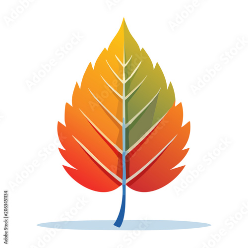 Colorful flat design maple leaf illustration