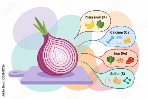 Nutritional Benefits and Mineral Content of Red Onion Infographic