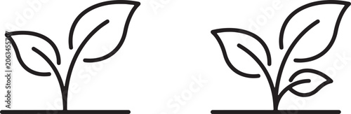 Art & Illustration, Organic plant stems sprouting fresh garden leaves delicate linear botanical icons set for natural brand packaging and eco cosmetics labeling
