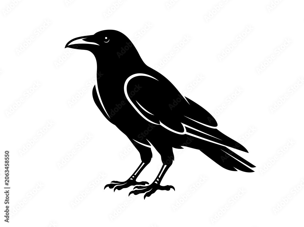 Obraz premium A detailed black and white illustration of a standing raven.