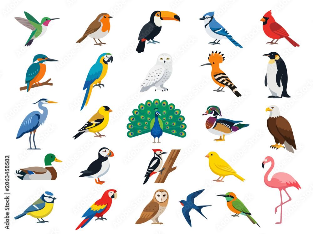 Obraz premium A diverse collection of colorful bird species illustrated in a flat vector style.