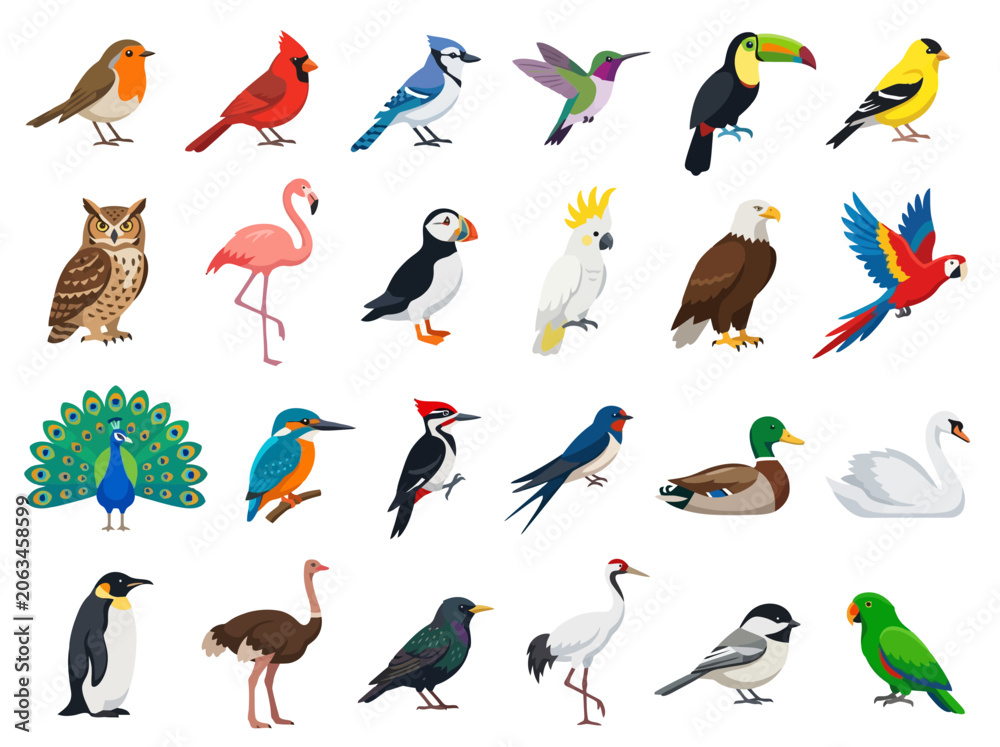 Fototapeta premium A collection of various colorful bird species illustrated in a flat vector style.